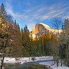 Pine Arbor Retreat - Vacation Rentals
