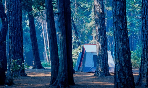 Yosemite Camping