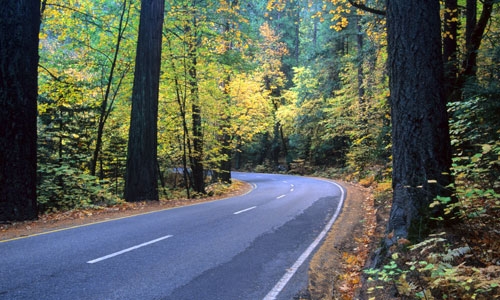 Yosemite National Park Roads