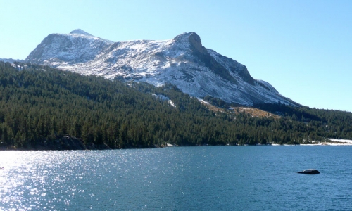 Yosemite Tioga Road