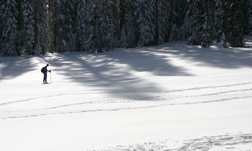 Cross Country Skiing along Glacier Point Road in Yosemite