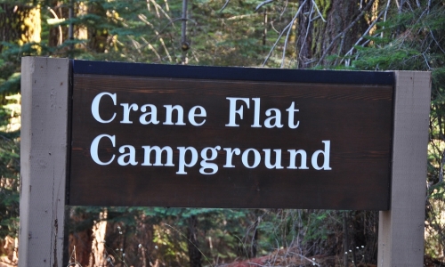 Crane Flat Campground