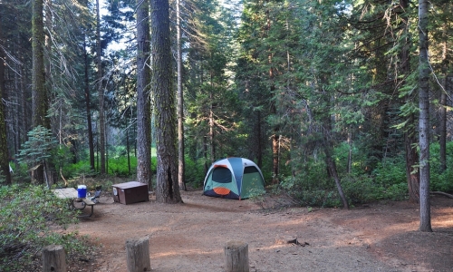 Crane Flat Campground