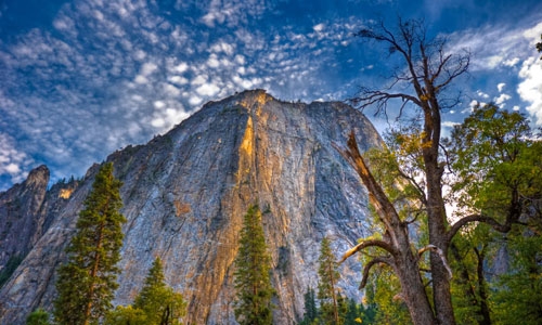 Yosemite National Park Highlights