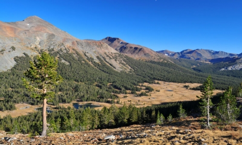 Tioga Pass Yosemite National Park