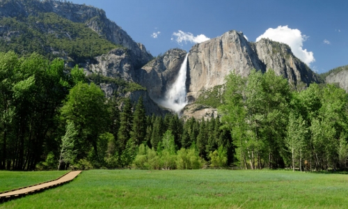 Yosemite Park Information