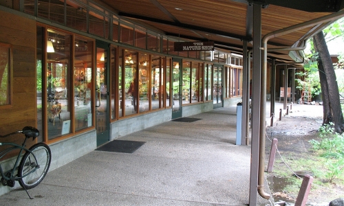 Yosemite Lodge