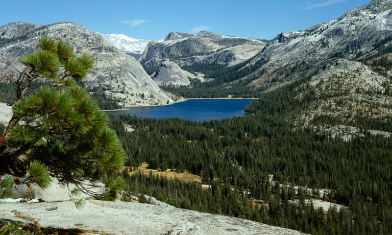 Tenaya Lake in Yosemite National Park