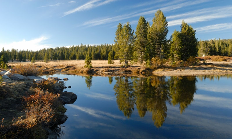 Tuolumne River in Yosemite National Park