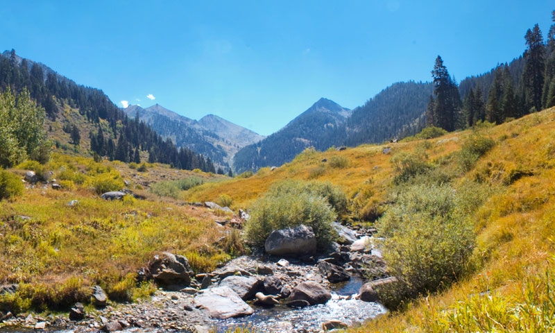 Sierra National Forest