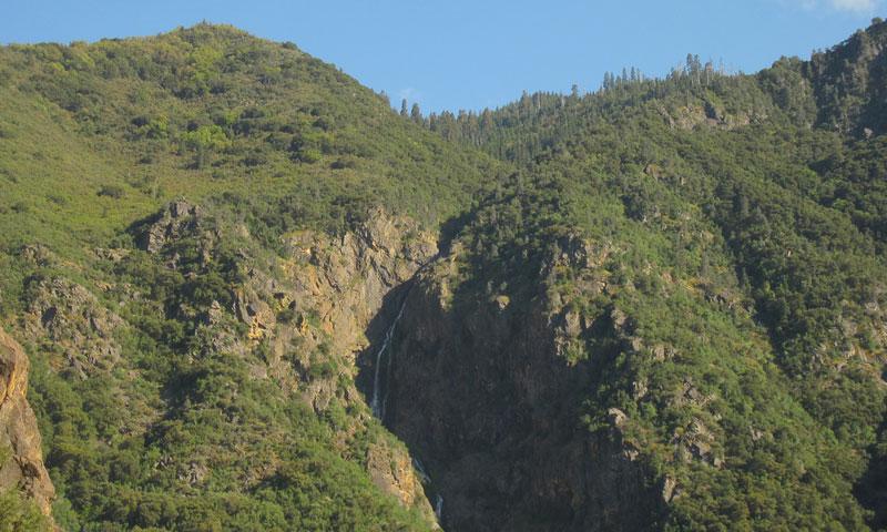 Kings Canyon National Park