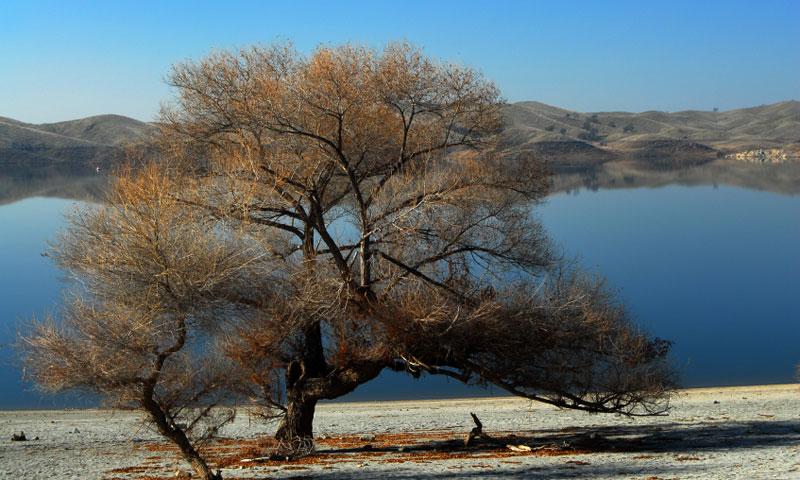 Millerton Lake in Fresno California