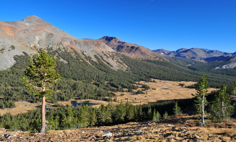 Along Tioga Pass in Yosemite National Park