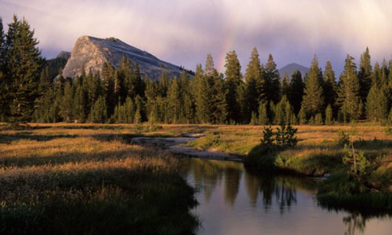 All Seasons Rv >> Tuolumne Meadows in Yosemite National Park - AllTrips All Seasons Rv >> Tuolumne Meadows in Yosemite National Park - AllTrips