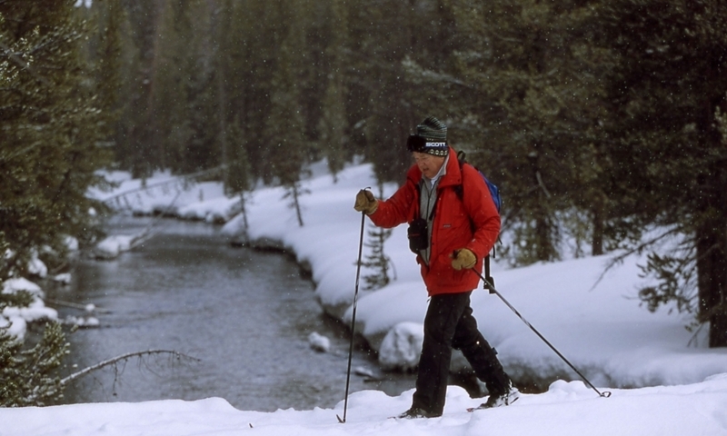 Cross Country Skiing in Yellowstone