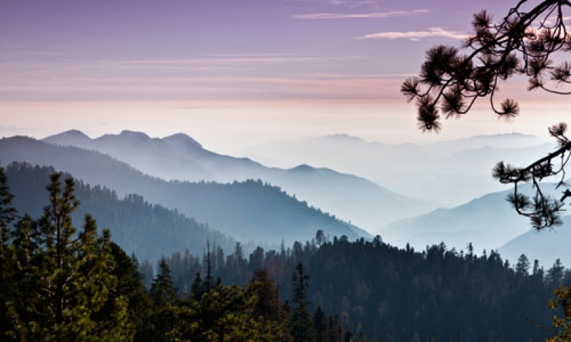 Mist over the Stanislaus National Forest