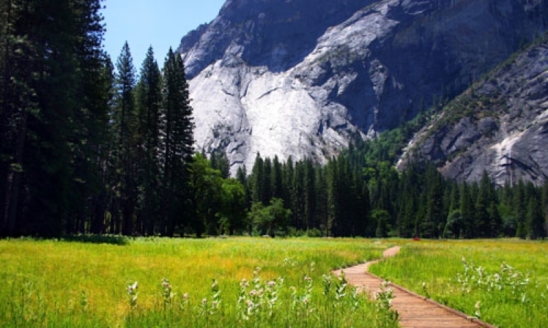 A Hiking Trail through Yosemite Valley