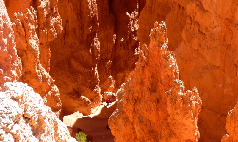 Navajo Trail in Bryce Canyon