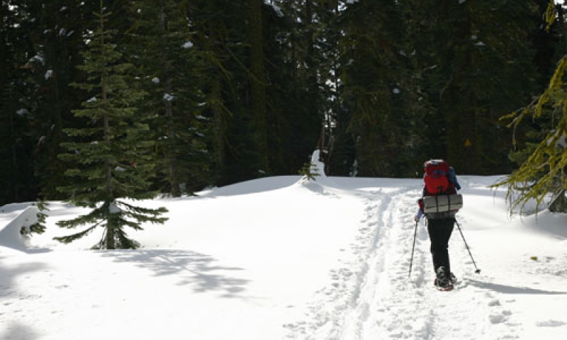 Snowshoeing to Dewey Point