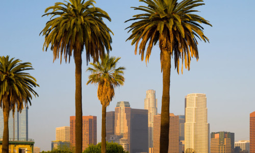 Los Angeles CA