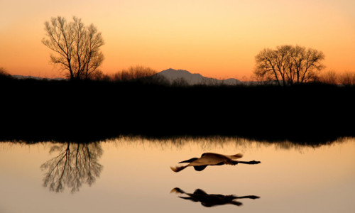 San Joaquin River