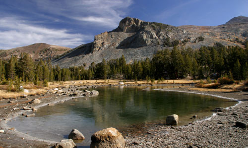 Dana Meadows