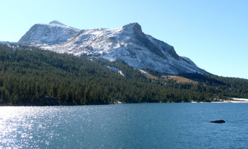 Tioga Road
