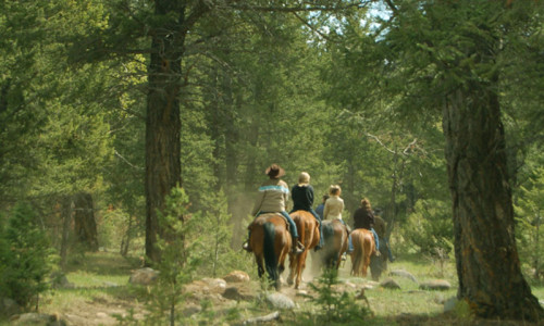 Horseback Riding