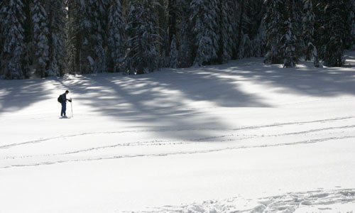 Glacier Point Road