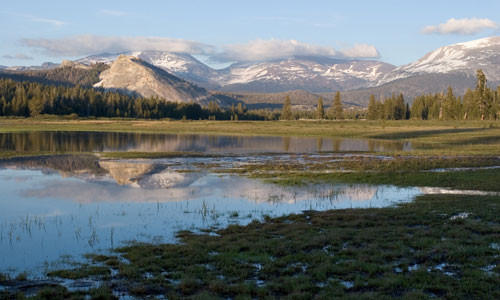 Tuolumne Meadows